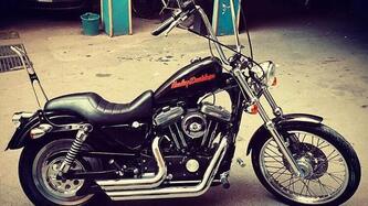 Harley-Davidson 883 Custom (1998 - 00) - XL 53C usata