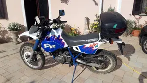Suzuki   (7)