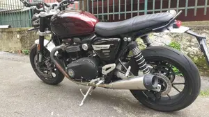 Triumph Speed Twin 1200 Stealth Edition (2024)  (3)