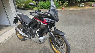 Honda Transalp XL750 (2025) usata