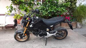 Honda MSX 125 (2013 - 15) 