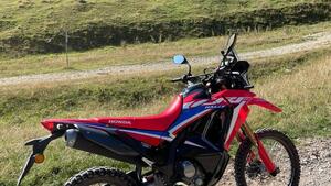 Honda CRF 300 Rally (2021 - 24) 