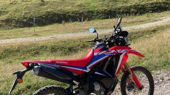 Honda CRF 300 Rally (2021 - 24) usata