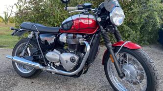 Triumph Bonneville T100 Bud Ekins SE (2020) usata