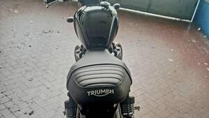 Triumph Speed Twin 900 (2023 - 24) 
