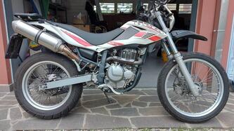 Betamotor Alp 4.0 (2008 - 17) usata