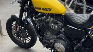 Harley-Davidson XL 1200 CX Roadster (2016 - 18) 