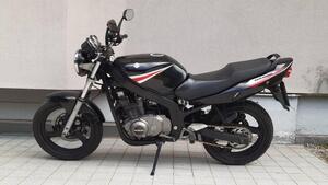 Suzuki GS 500 (2001 - 06) 