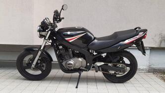 Suzuki GS 500 (2001 - 06) usata