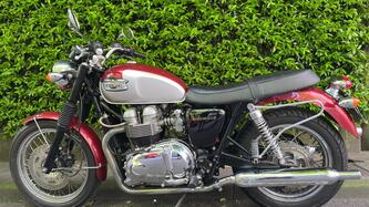 Triumph 