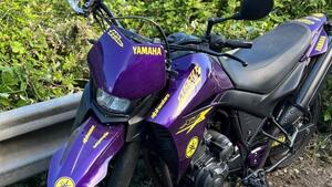 Yamaha XT 660 X (2004 - 16) 