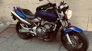 Honda Hornet 600 (2003 - 04) 