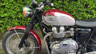 Triumph Bonneville 800 (2000 - 01)