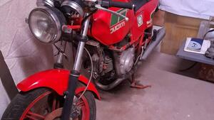Ducati  