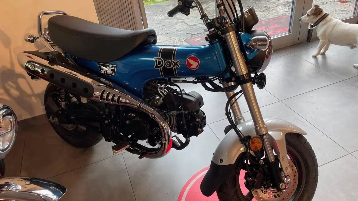 Honda Dax 125 (2025 - 26) 