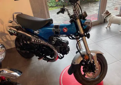 Honda Dax 125 (2025 - 26) - Annuncio 9715250