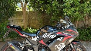 Kawasaki Ninja 300 ABS (2012 - 16) 