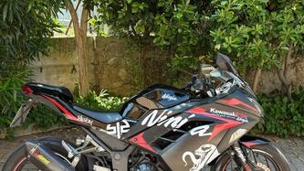 Kawasaki Ninja 300 ABS (2012 - 16) usata