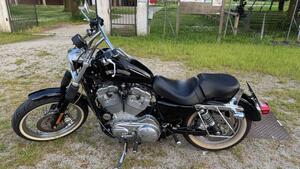 Harley-Davidson 883 Standard (2001 - 05) - XL 883 