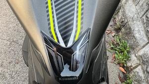 Kawasaki Z 125 Performance (2021 - 24) 