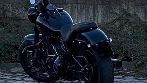 Harley-Davidson 107 Sport Glide (2018 - 20) 