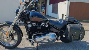 Harley-Davidson Softail Standard (2020) - FXST 