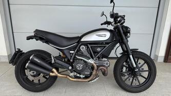 Ducati Scrambler 800 Icon (2015 - 16) usata