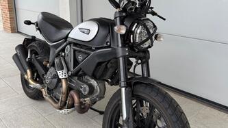 Ducati Scrambler 800 Icon (2015 - 16) usata