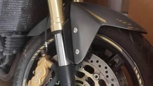 Triumph Speed Triple 1050 (2005 - 11) 