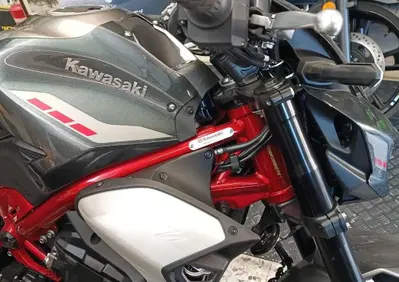 Kawasaki Z 900 (2025 - 26) - Annuncio 9716435