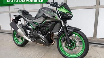 Kawasaki Z 500 SE (2024 - 25) nuova