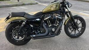 Harley-Davidson 883 Iron (2017 - 20) - XL 883N 