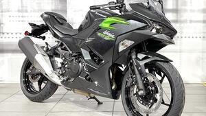 Kawasaki Ninja 500 (2024 - 25) 