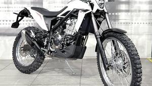 Betamotor Alp 4.0 (2024 - 25) 
