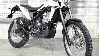 Betamotor Alp 4.0 (2024 - 25) nuova