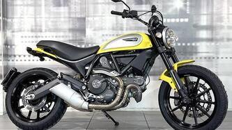 Ducati Scrambler 800 Icon (2015 - 16)