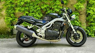 Triumph Speed Triple 955 (1998 - 01) usata