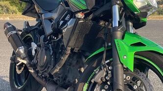 Kawasaki Z 400 (2019 - 20)