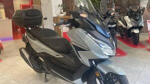 Honda Forza 350 (2022 - 24) 
