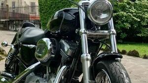Harley-Davidson 883 Custom (2001 - 05) - XL 53C 