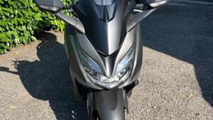 Honda Forza 350 (2022 - 24) 