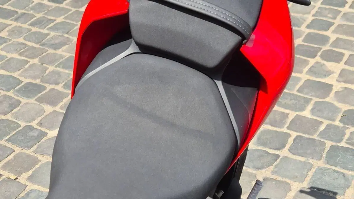 Ducati 1299 Panigale (2015 - 17)  (8)
