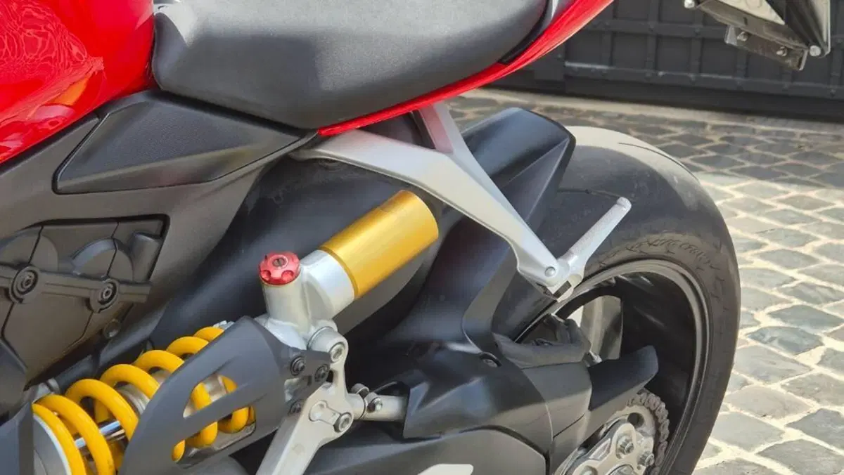 Ducati 1299 Panigale (2015 - 17)  (11)