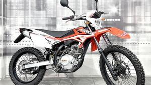 Betamotor RR 125 4T Enduro AC (2010 - 17) 
