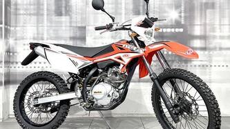 Betamotor RR 125 4T Enduro AC (2010 - 17)