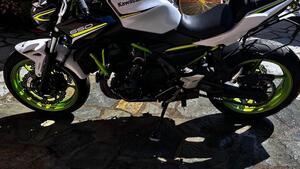 Kawasaki Z 650 Performance (2021 - 24) 