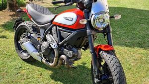 Ducati Scrambler 800 Icon (2015 - 16) 