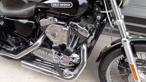 Harley-Davidson 1200 Low (2006 - 07) - XL 1200L 