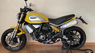 Ducati Scrambler 1100 (2018 - 20) usata