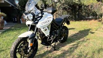 Triumph Tiger 800 XRx (2018 - 20) usata
